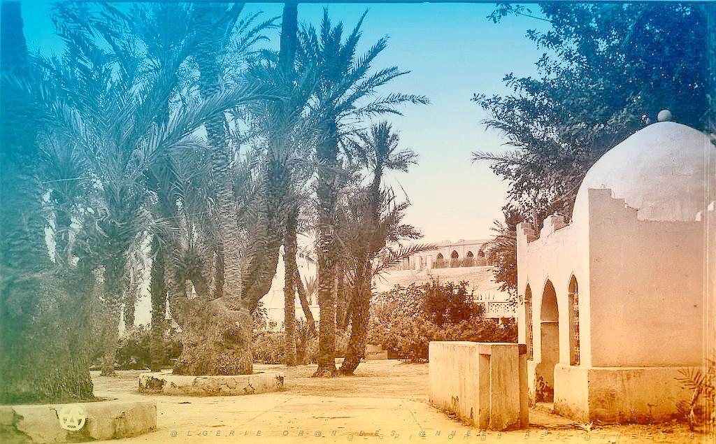 COLOMB BECHAR 501  SQUARE.jpg